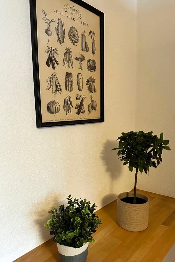City-Apartment In Krefeld - Beuys Apartments - Krefeld Eksteriør bilde